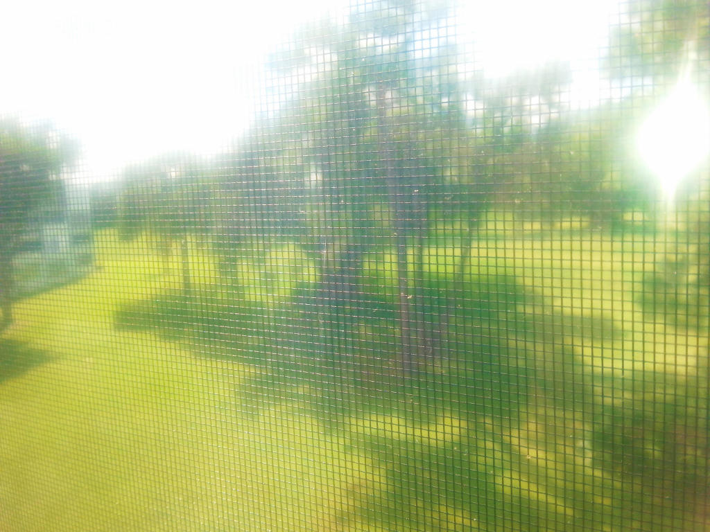 ELLESMERE A CONDO - Residential