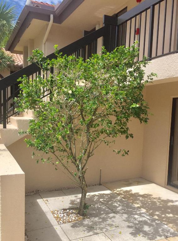 SAN REMO GOLF & TENNIS CLUB CONDO - Residential Lease