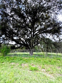 Land For Sale in Florida 450 S JINETE Street Clewiston FL 33440
