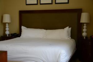 THE RESORT AT SINGER ISLA - Residential