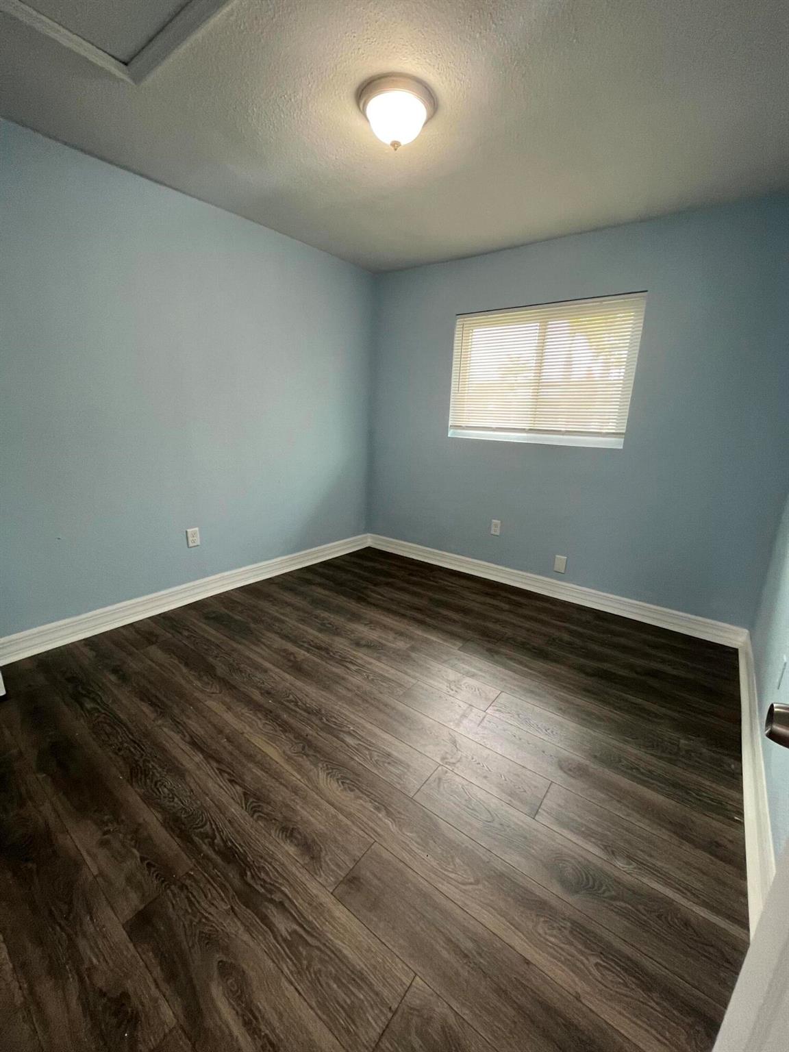 PALM TREE (Downtown Pompa - Commercial Sale