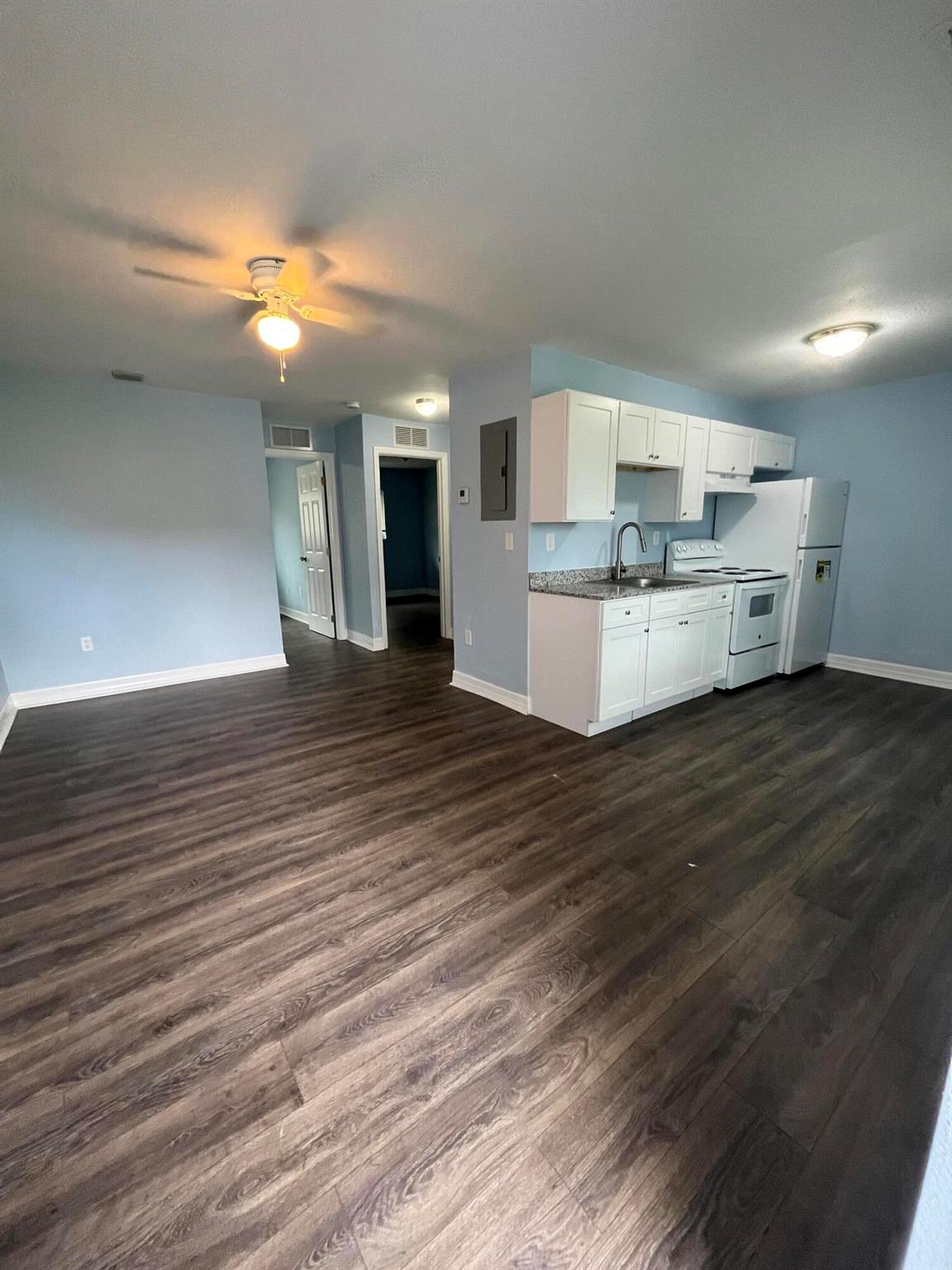 PALM TREE (Downtown Pompa - Commercial Sale