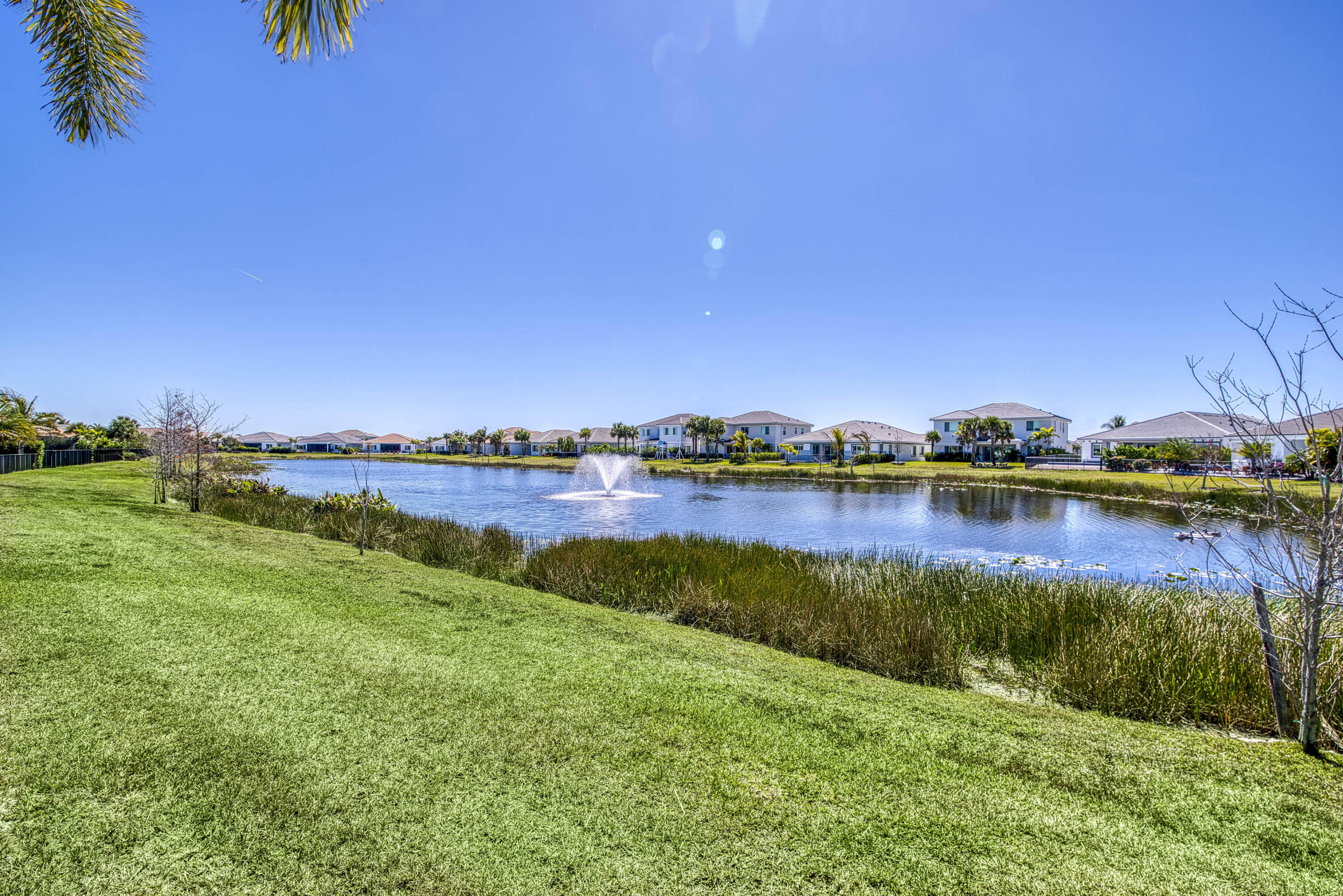 La Terre at Avenir - Residential