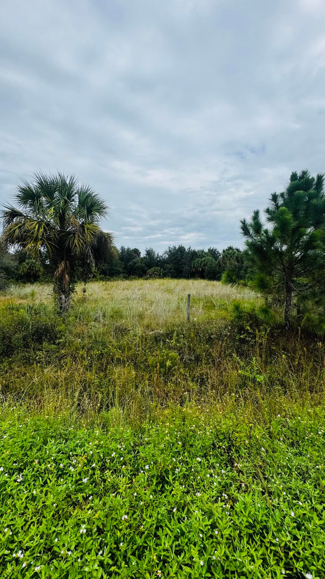 17011 NW 304th Street