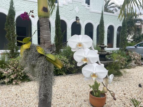 A home in Lake Worth Beach