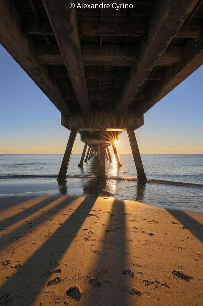 TIVOLI TRACE CONDO NO 8 - Residential Lease