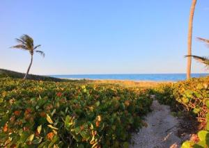 Jupiter Island - Residential