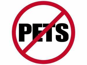 PALMETTO PLACE - Residential Lease