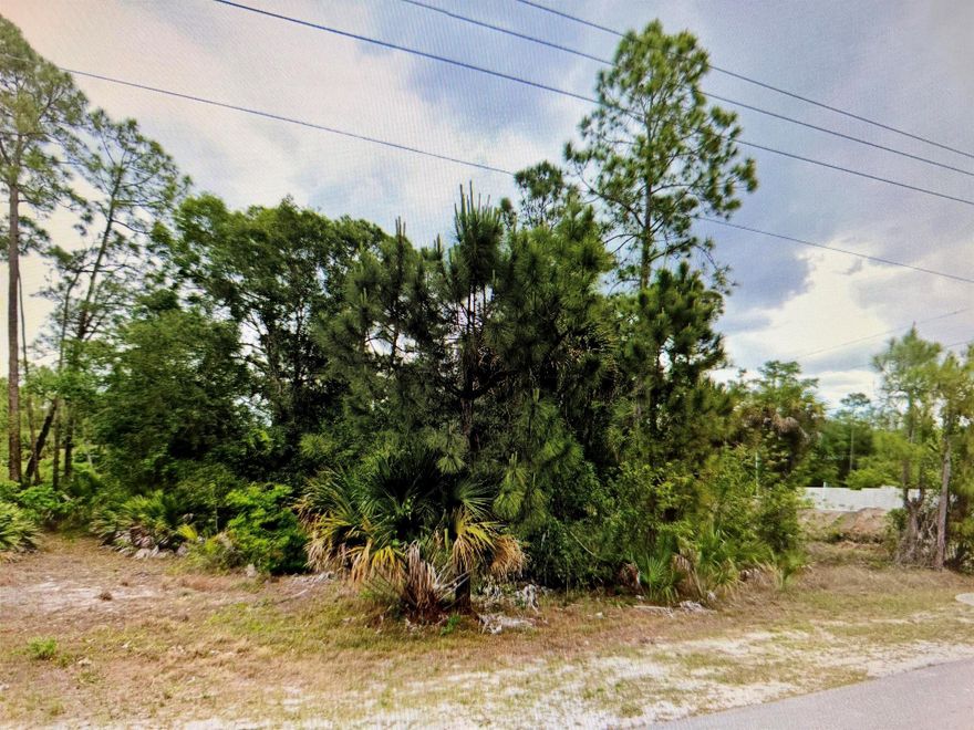 Discover the perfect spot for your dream home or investment venture on this spacious .25 acre lot. Located on a well-maintained paved street with utilities readily available, this prime property offers convenience and accessibility. Situated just minutes away from major amenities and providing aswift commute to Fort Myers, seize the opportunity to bring your vision to life today.