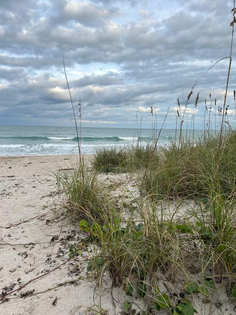 SEAWARD AT ATLANTIC VIEW CONDOMINIUM - Residential