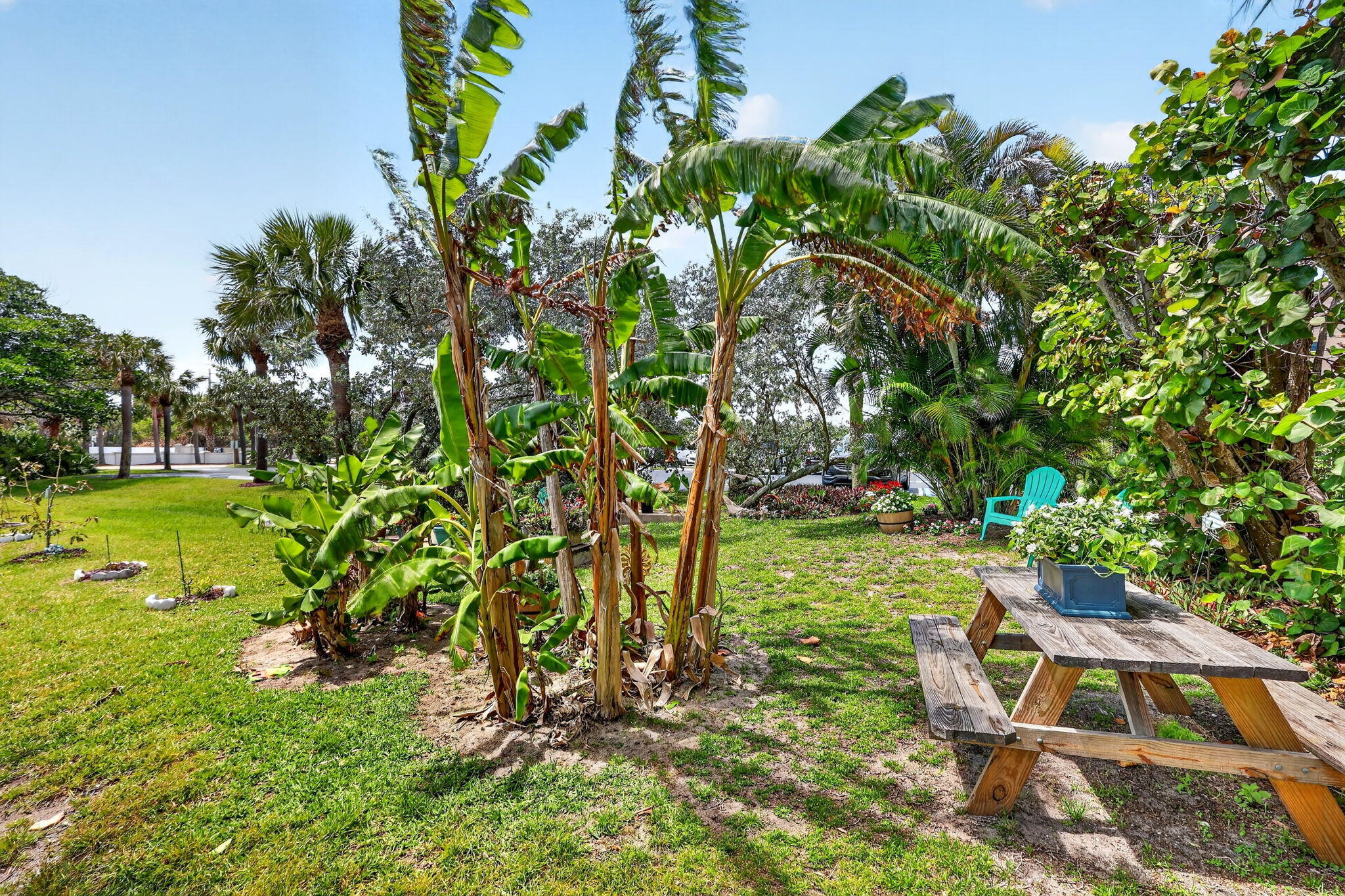 OCEANRISE CONDOMINIUM - Residential