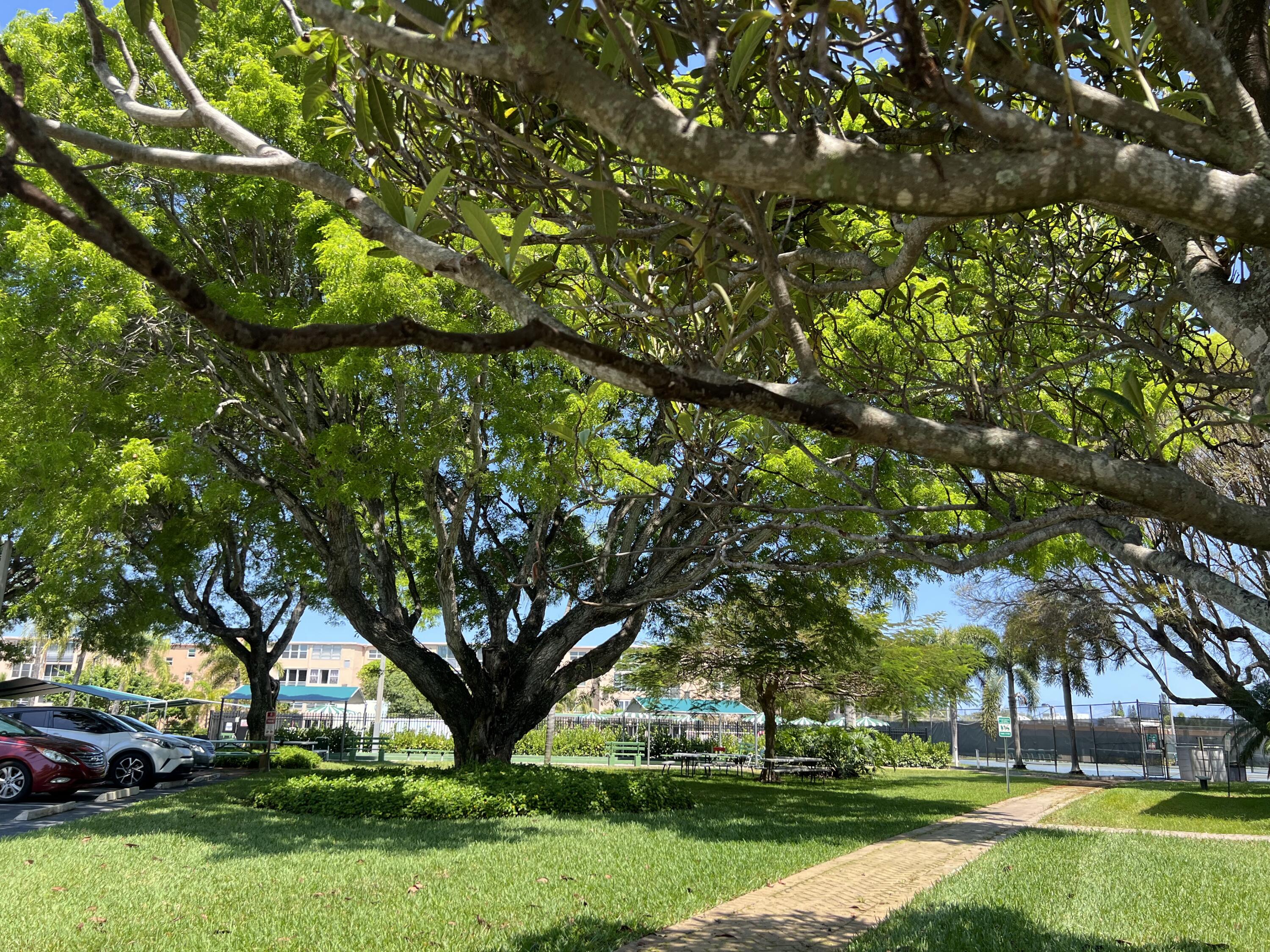 VILLAGE ROYALE ON THE GRE - Residential