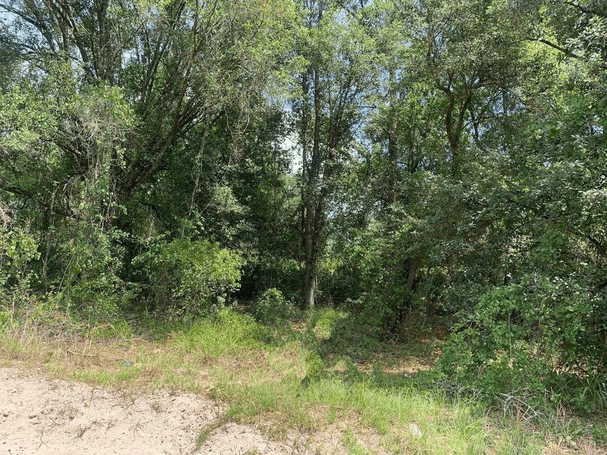 Own 1.28 acres in the recreational community Rancho Bonito.
Hunt, camp and ride! Owner financing available