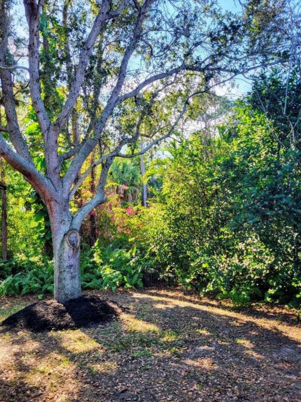 Photo of 2585 SE Marseille Street, Port Saint Lucie, FL 34952 (MLS # F10542451)