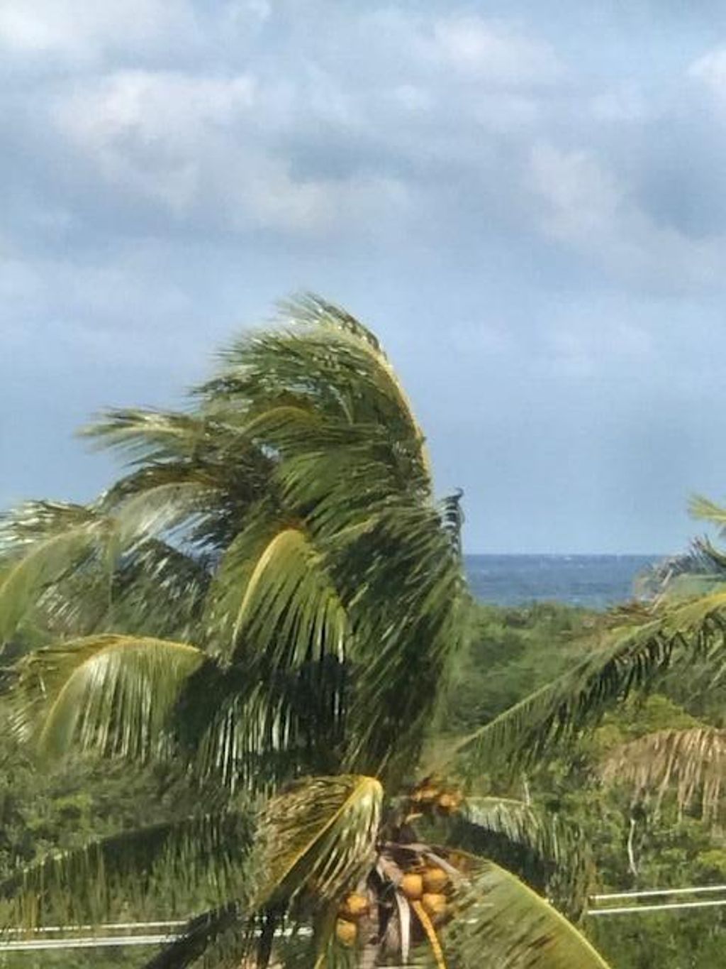 Photo of 275 Palm Avenue #C503, Jupiter, FL 33477 (MLS # R11103570)