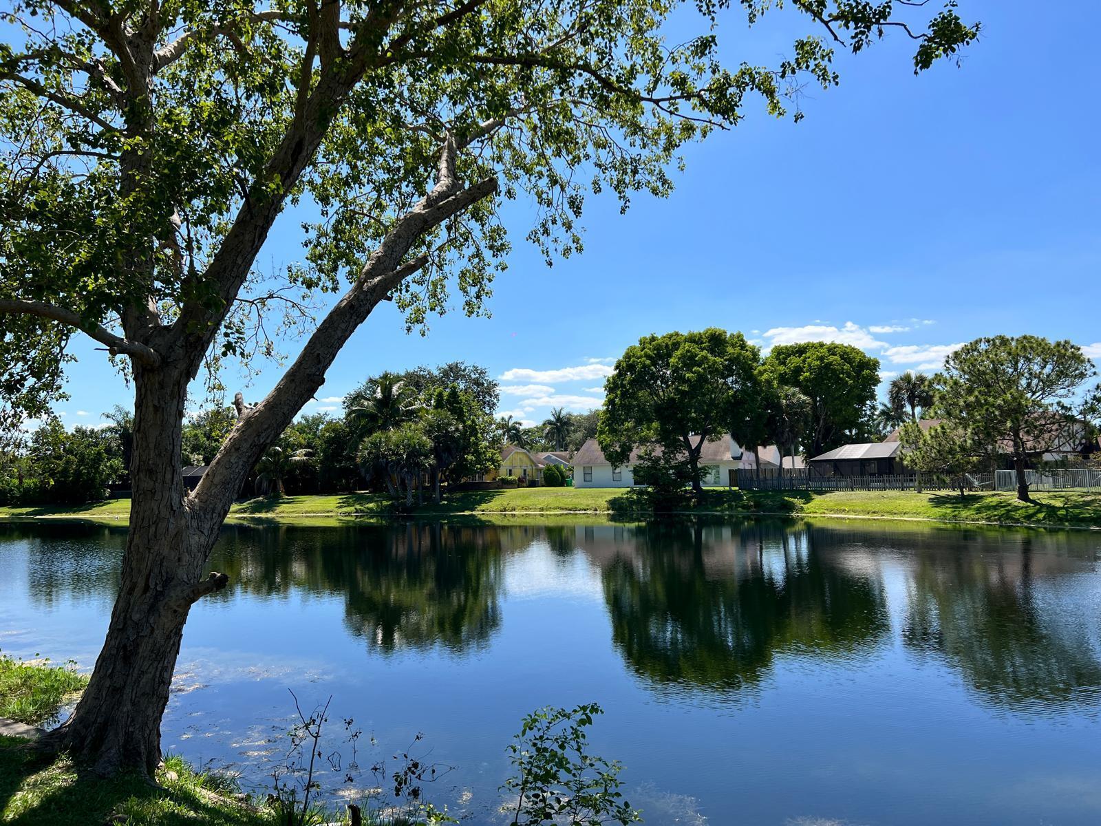 NEW RIVER ESTATES SEC 2 - Residential Lease