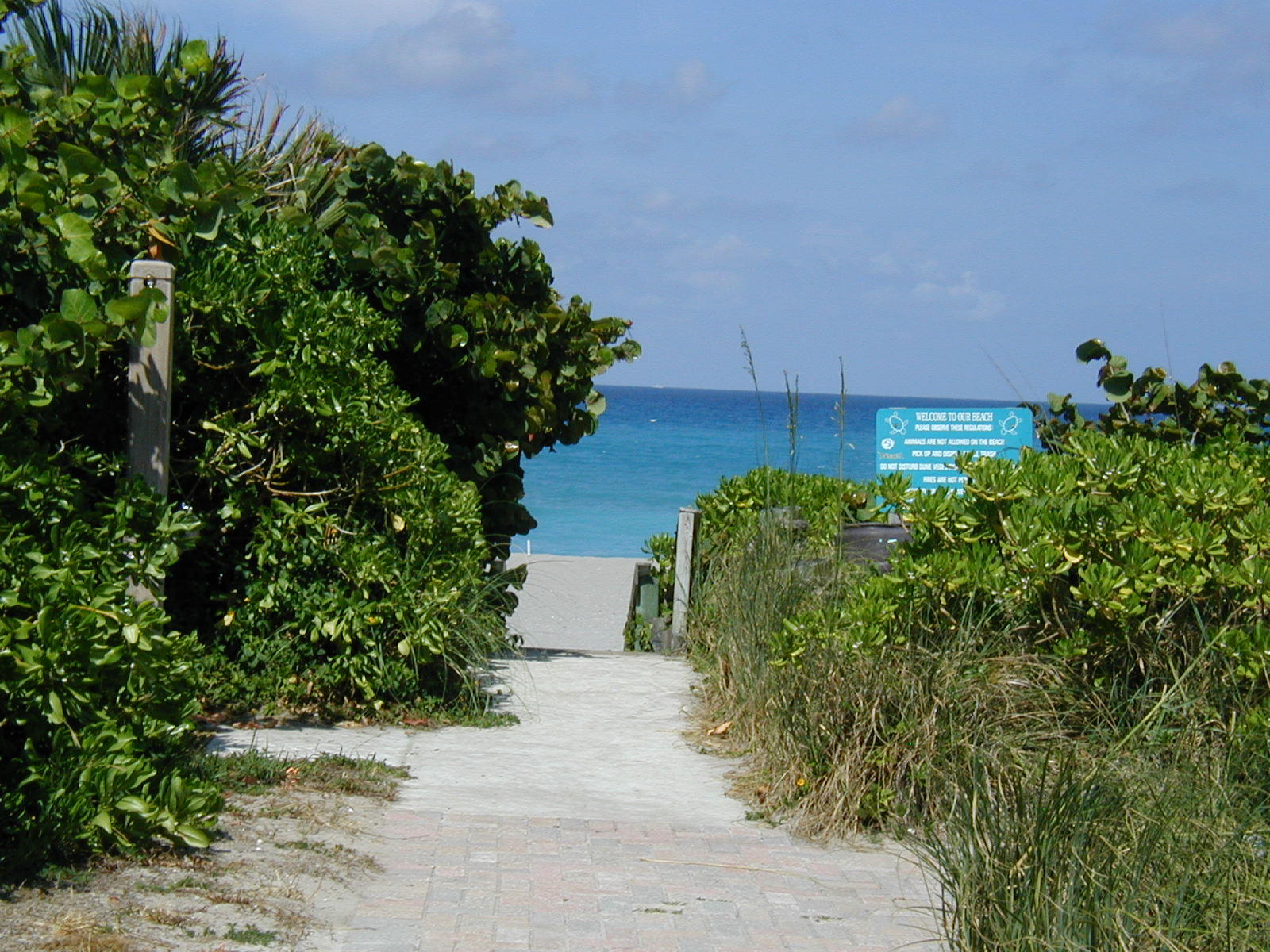 SURFSIDE HILLS - Residential