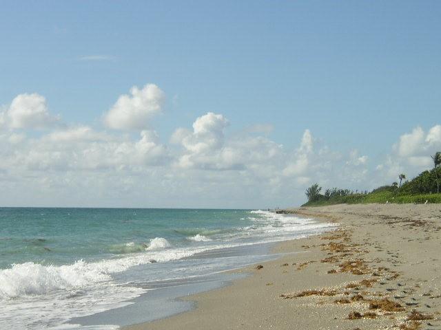 SURFSIDE HILLS - Residential