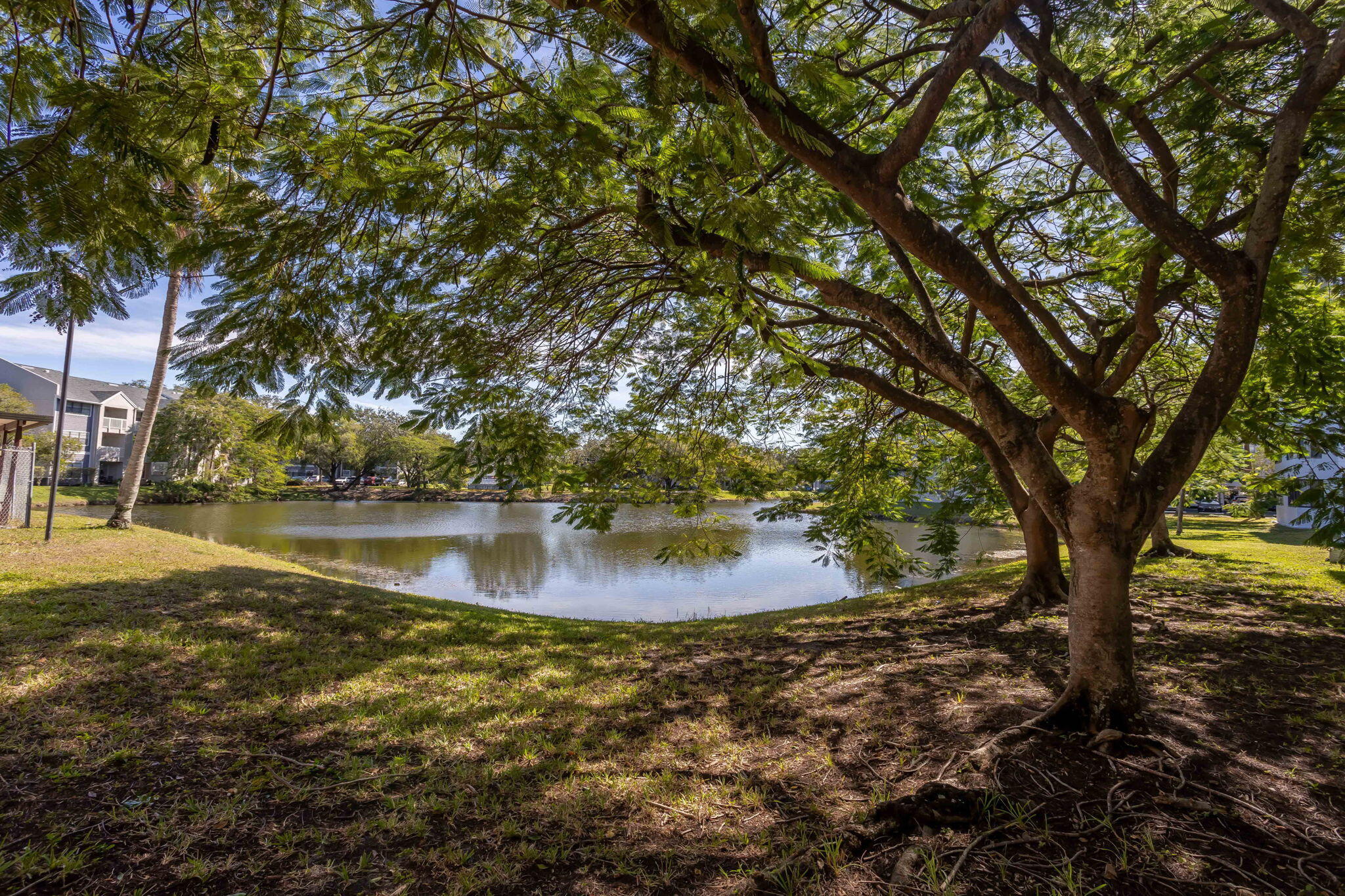 DORADO AT HAMPTONS WEST - Residential