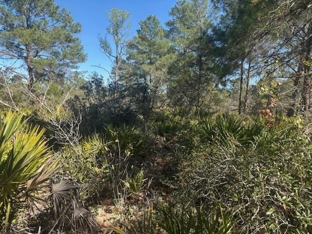 OBCCC1 Sun N Lakes Estates - Land