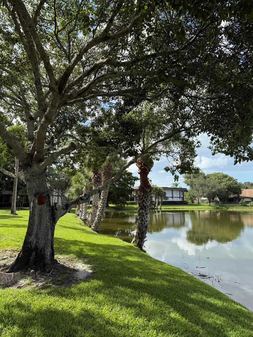 Beautiful, remodeled unit, updated kitchen and baths, luxury vinyl flooring throughout, located next to beautiful veteran's park. In close proximity to shopping, easy commute, 20 minutes drive to the intercoastal. Come enjoy the Florida lifestyle with beautiful beaches, pristine streets, parks, golf courses