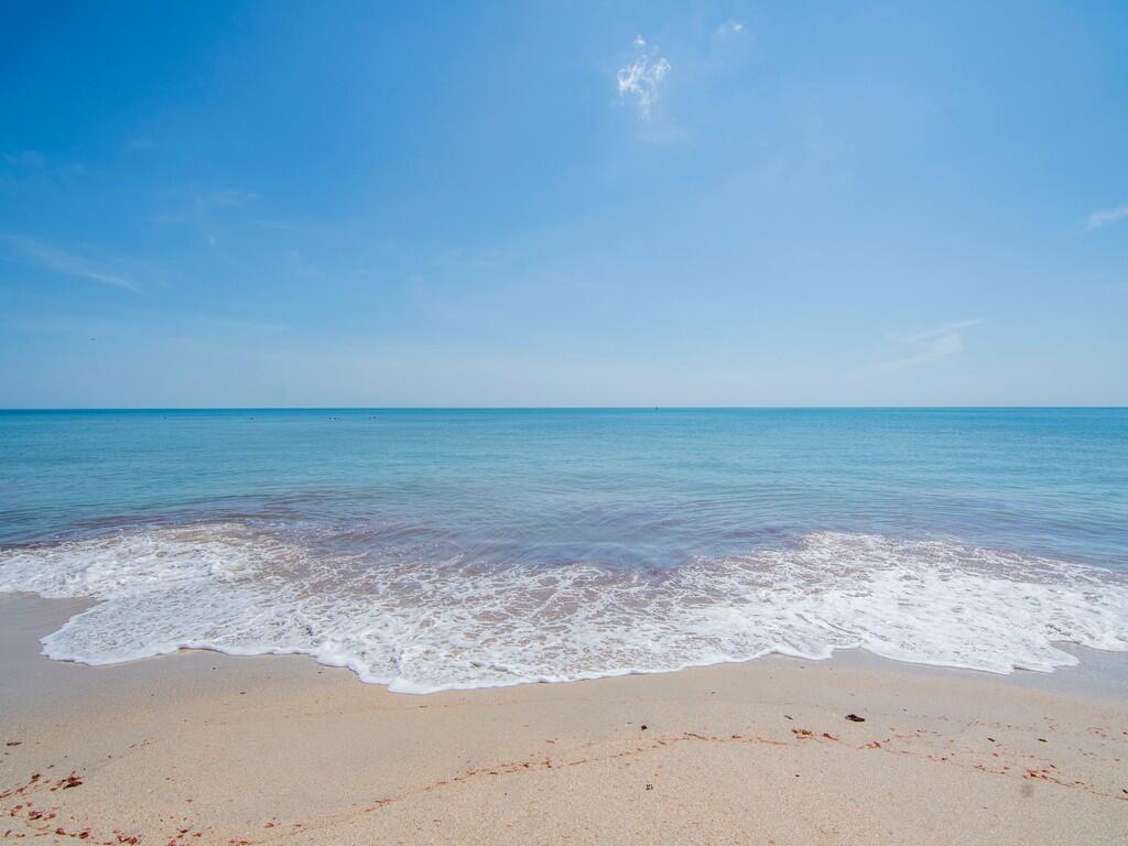 1616 SEA COVE CONDOMINIUM - Residential