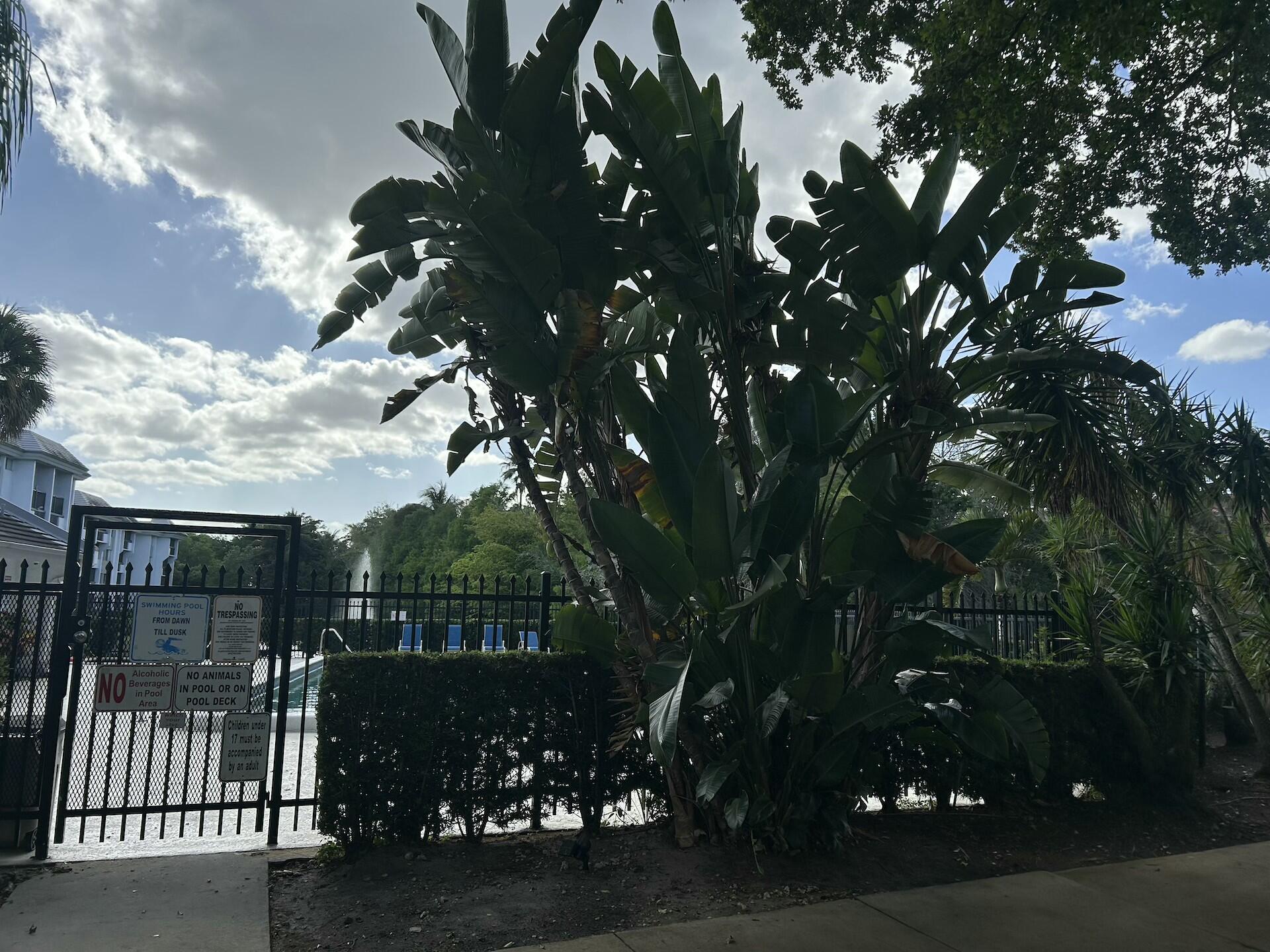 BELASERA AT PINE ISLAND CONDO - Residential