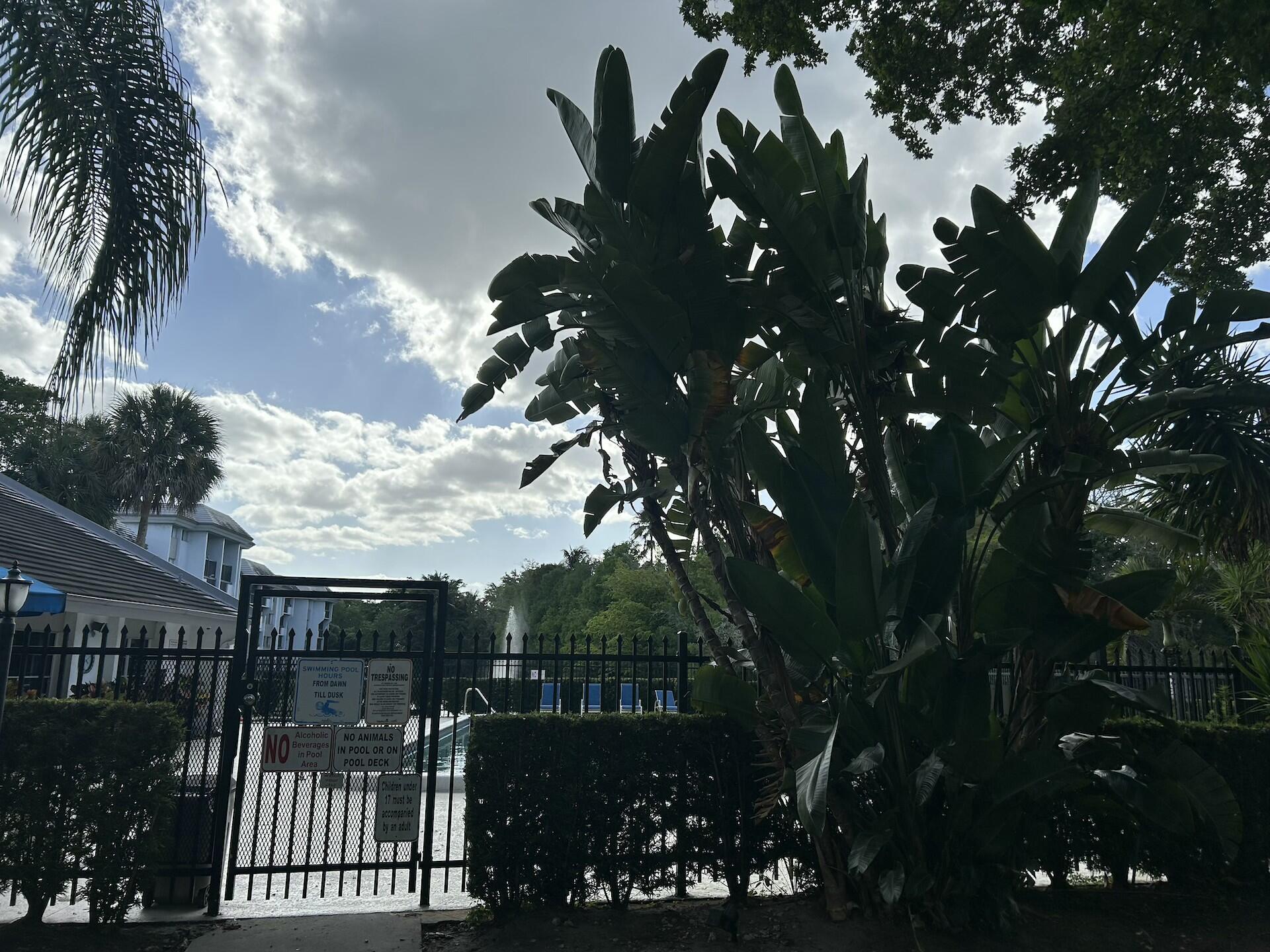 BELASERA AT PINE ISLAND CONDO - Residential