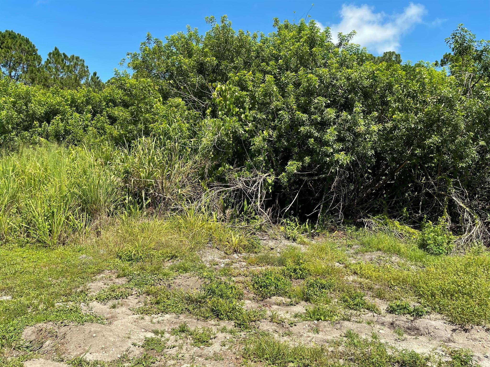 ''Prime buildable lot zoned RM-6, perfect for your next project or home if you desire! This property is located on a private road, offering a peaceful setting with no HOA restrictions. Conveniently located near shopping with nearby electrical access to simplify your plans. Don't miss the opportunity to create your vision in this desirable location!'' Aerial photos coming soon!
