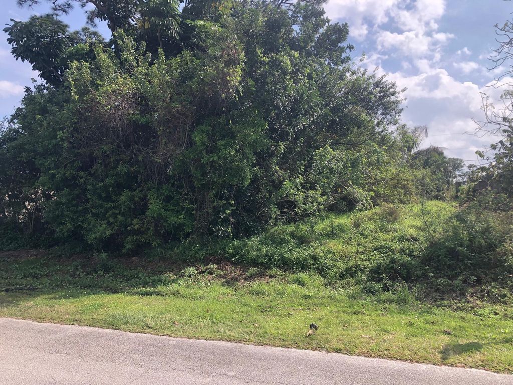 Photo of 318 SE Dalva Avenue, Port St Lucie, FL 34984 (MLS # R10966532)