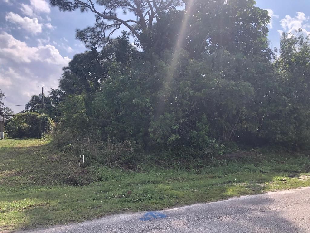 Photo of 318 SE Dalva Avenue, Port Saint Lucie, FL 34984 (MLS # R10966532)