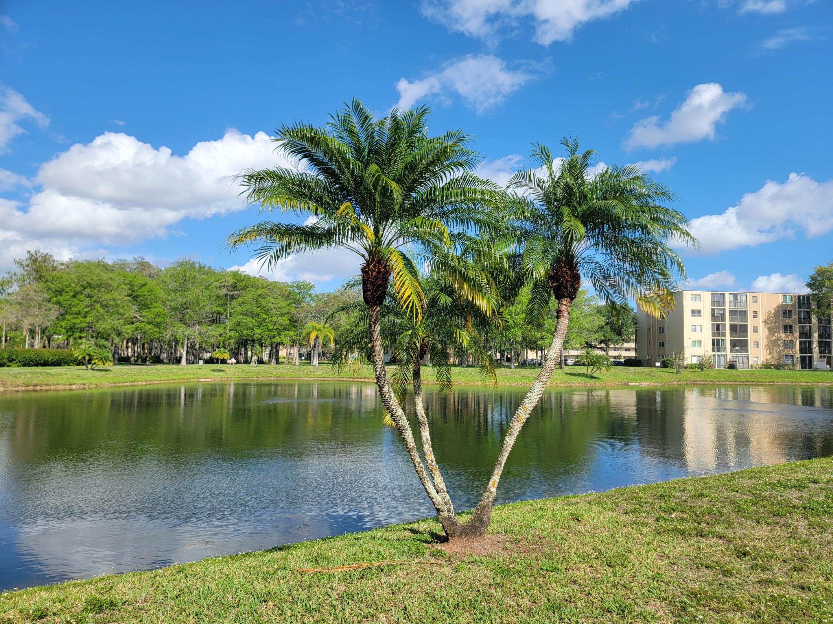 CASCADES OF LAUDERHILL - Residential