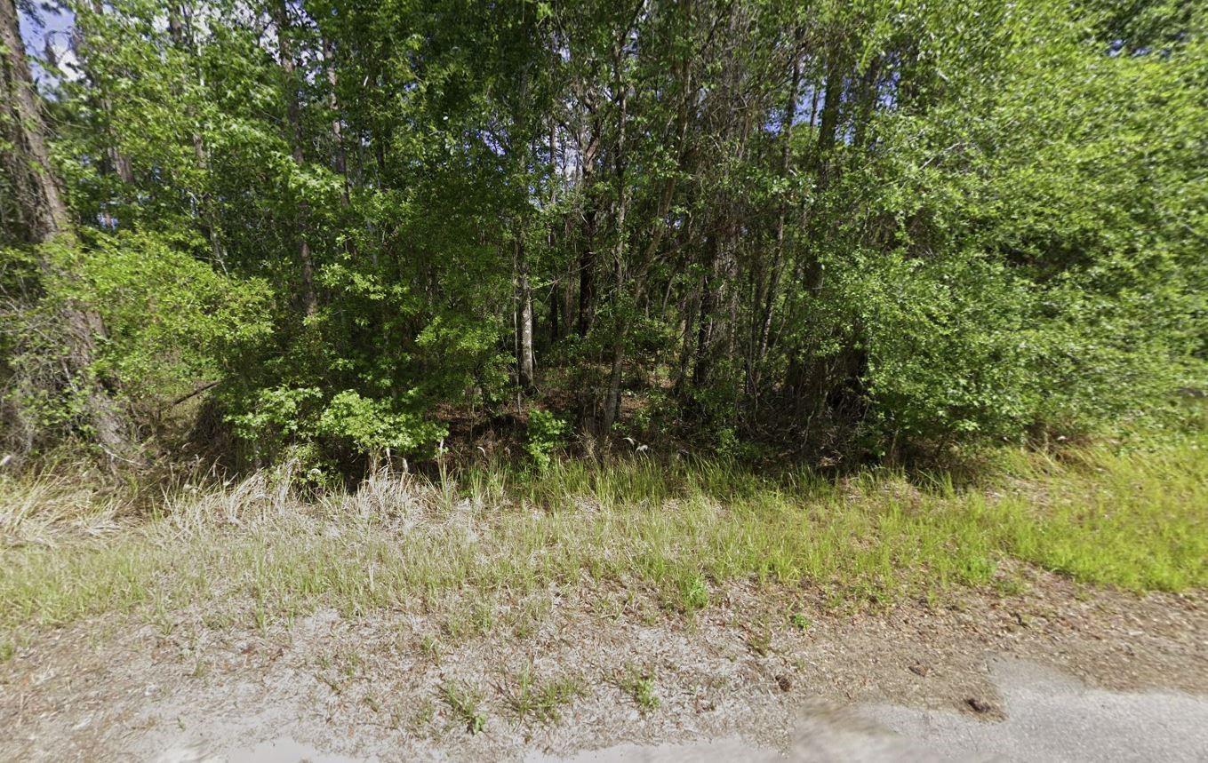 Discover the perfect opportunity to own 0.24 acres of vacant land in the growing Silver Springs Shores community. Nestled in a quiet, residential area with paved road access and no HOA, you'll enjoy the peace of country-style living just minutes from Ocala's shops, restaurants, and schools. Whether you're ready to build now or invest for the future, this lot is priced to sell and offers fantastic potential. Don't miss this rare opportunity to own a large lot in one of Marion County's most desirable up-and-coming areas. For directional purposes use 39 locust pl