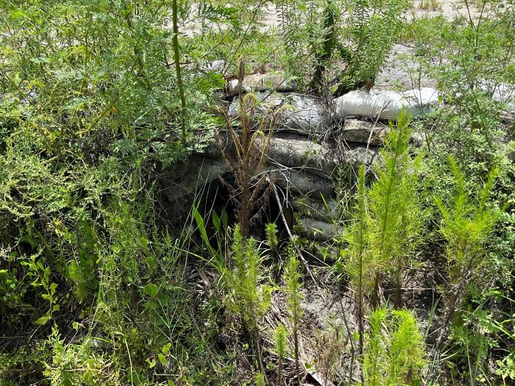 VIKING/PRAIRIE - Land