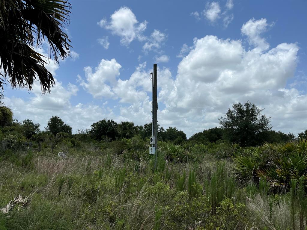 VIKING/PRAIRIE - Land