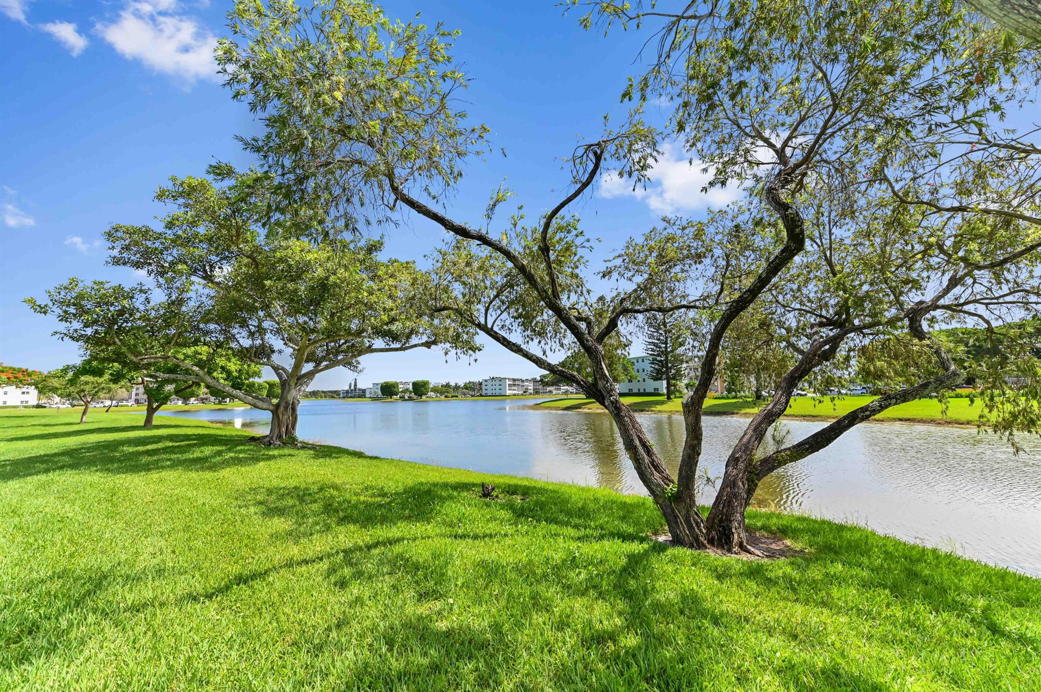 Newcastle At Century Vill - Residential