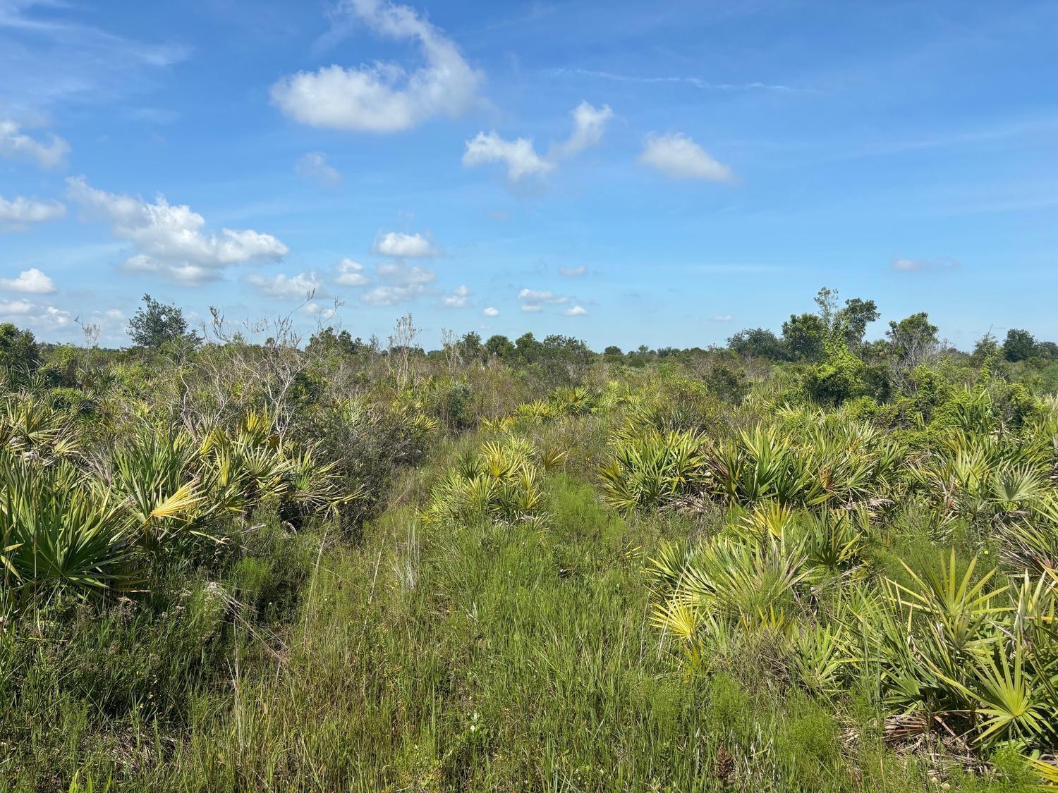 Owner Financing Available
1.25 acre lot in Viking Estates. Close to the Kissimmee Prairie State Park. Bring your 4 -wheelers. This property is not only ideal for recreational uses such has camping, hunting and shooting, but it’s agricultural as well