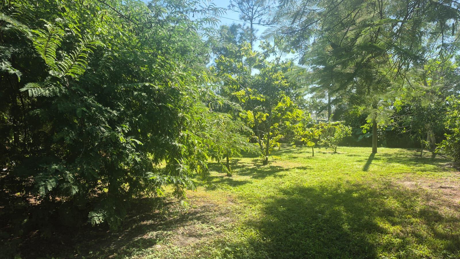 THE ACREAGE - Residential