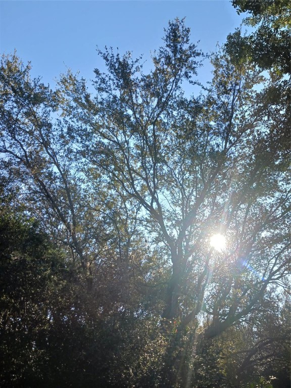 RAINBOW LAKES - Land