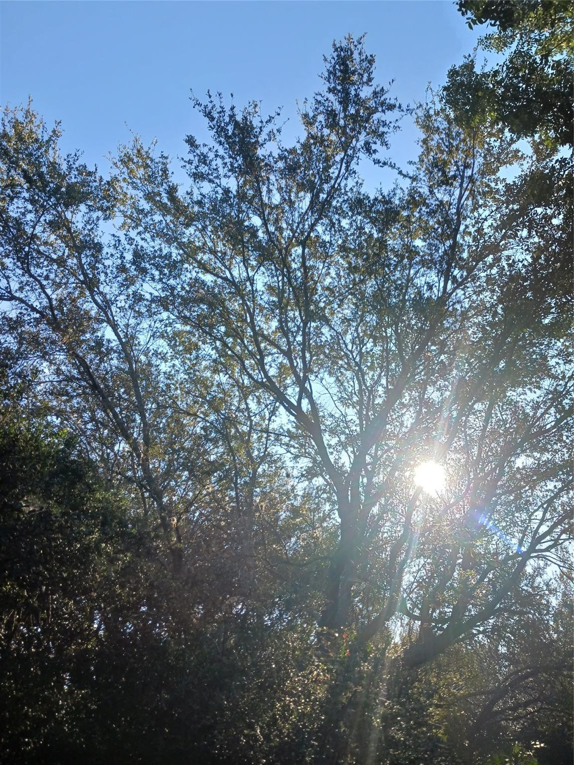 RAINBOW LAKES - Land