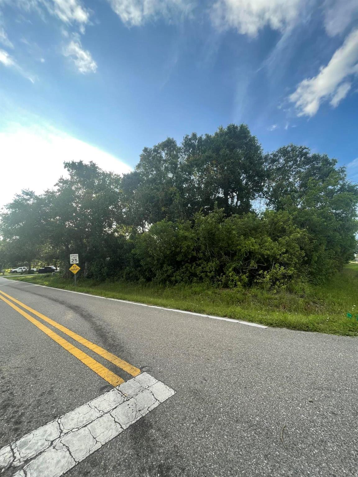Corner Lot paved road the possibilities are endless, secure your land and build a new construction home while you can!