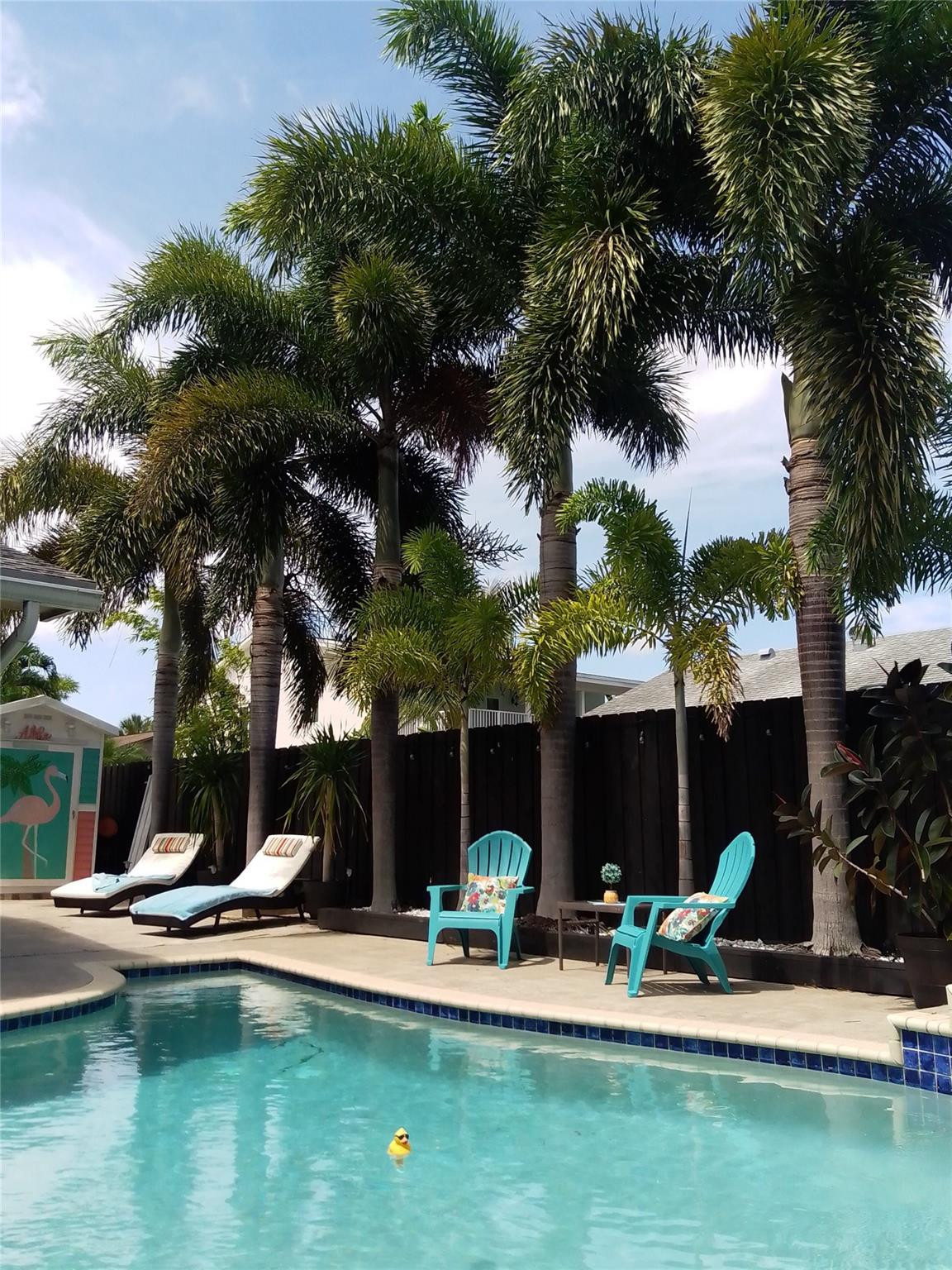 Crystal Heights 80-48 B - Residential Lease