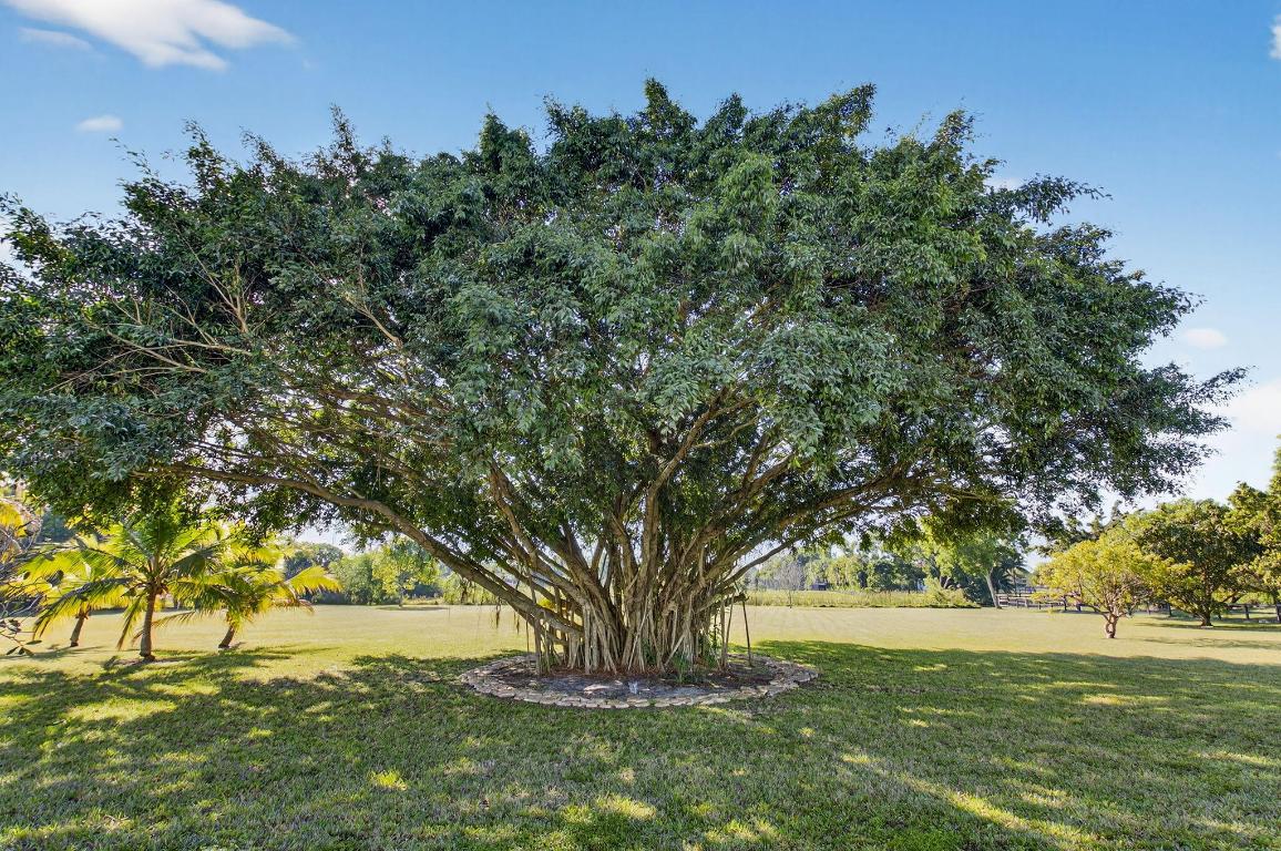 TIERRA DEL REY - Residential