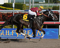 FAIRWAYS NORTH CO-OP - Residential