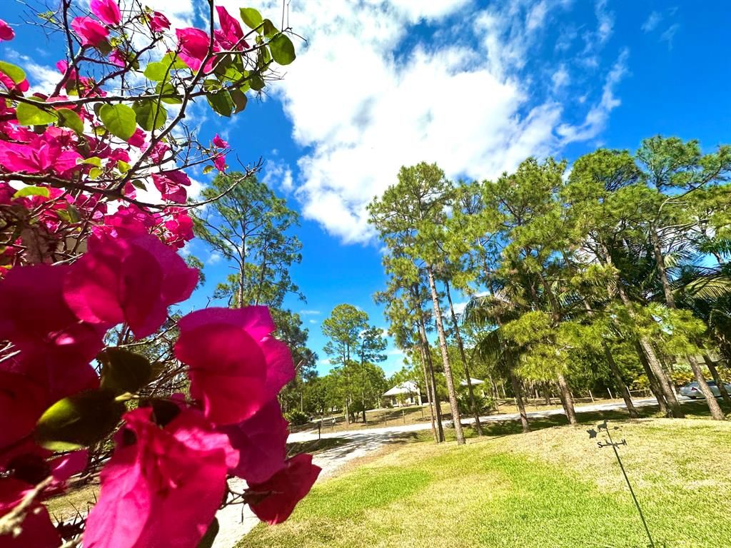 Photo of 18180 42nd Road N, Loxahatchee, FL 33470 (MLS # R10876898)