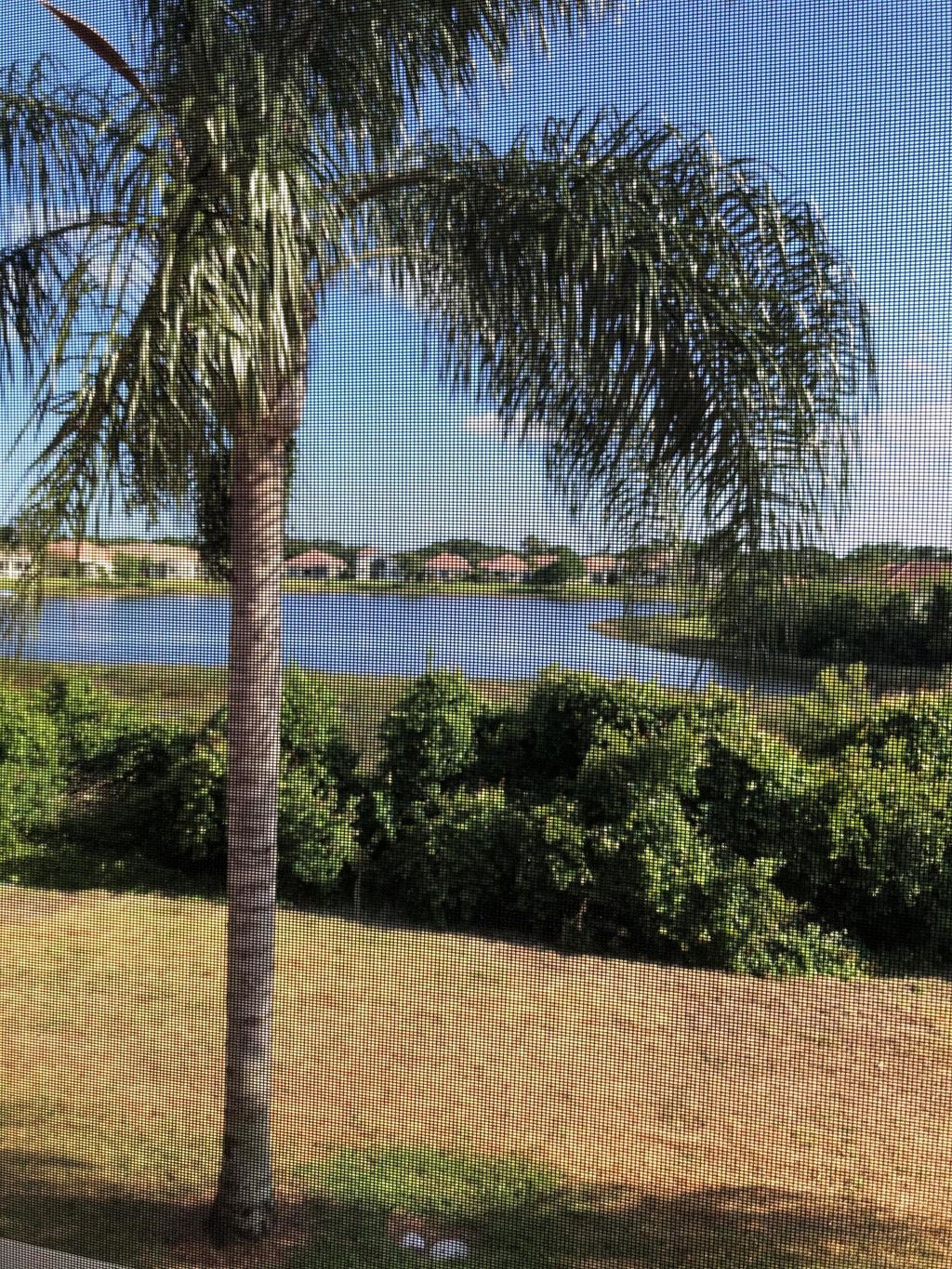 Photo of 144 SW Peacock Boulevard SW #23203, Port Saint Lucie, FL 34986 (MLS # R11039505)