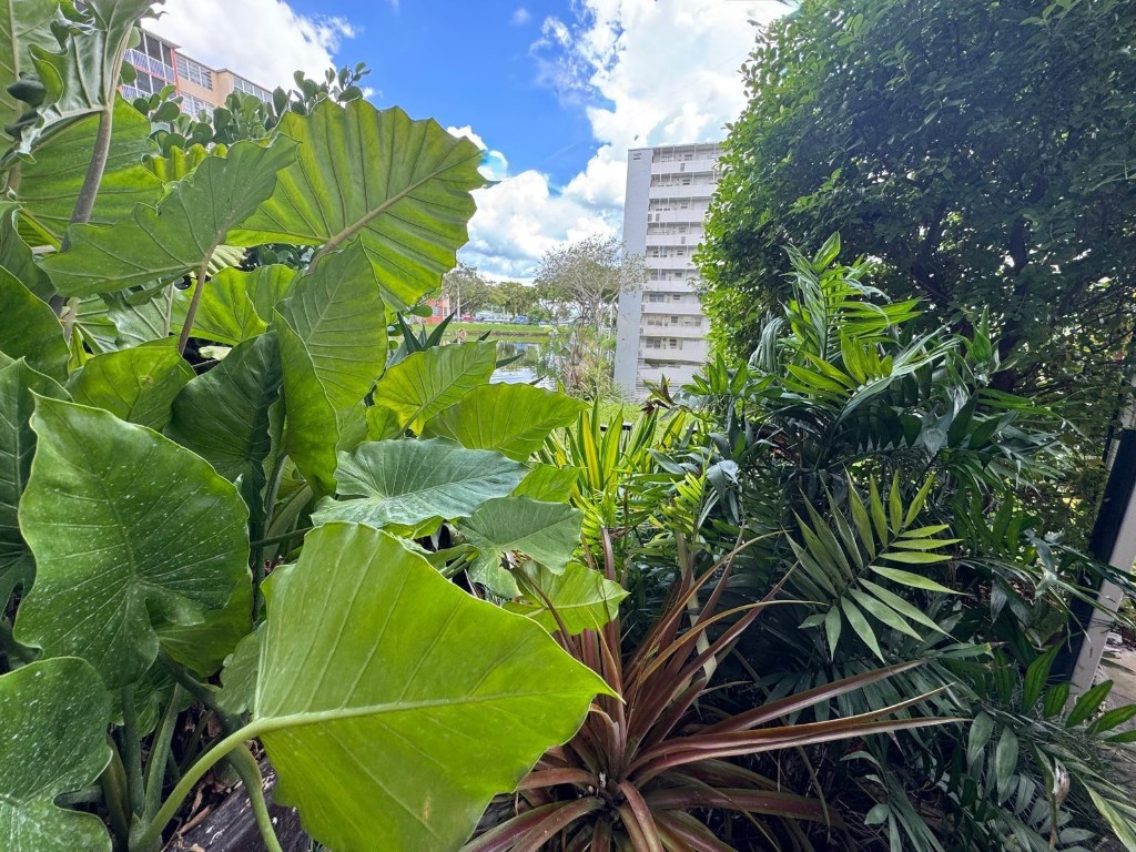 JADE WINDS GROUP CAMELLIA - Residential