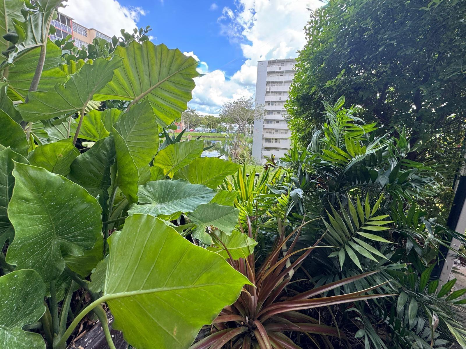 Camellia Gardens Condo - Residential