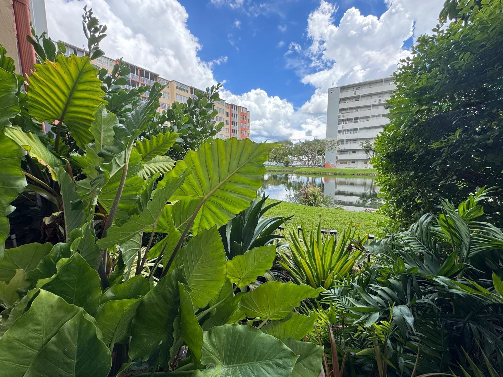 Camellia Gardens Condo - Residential