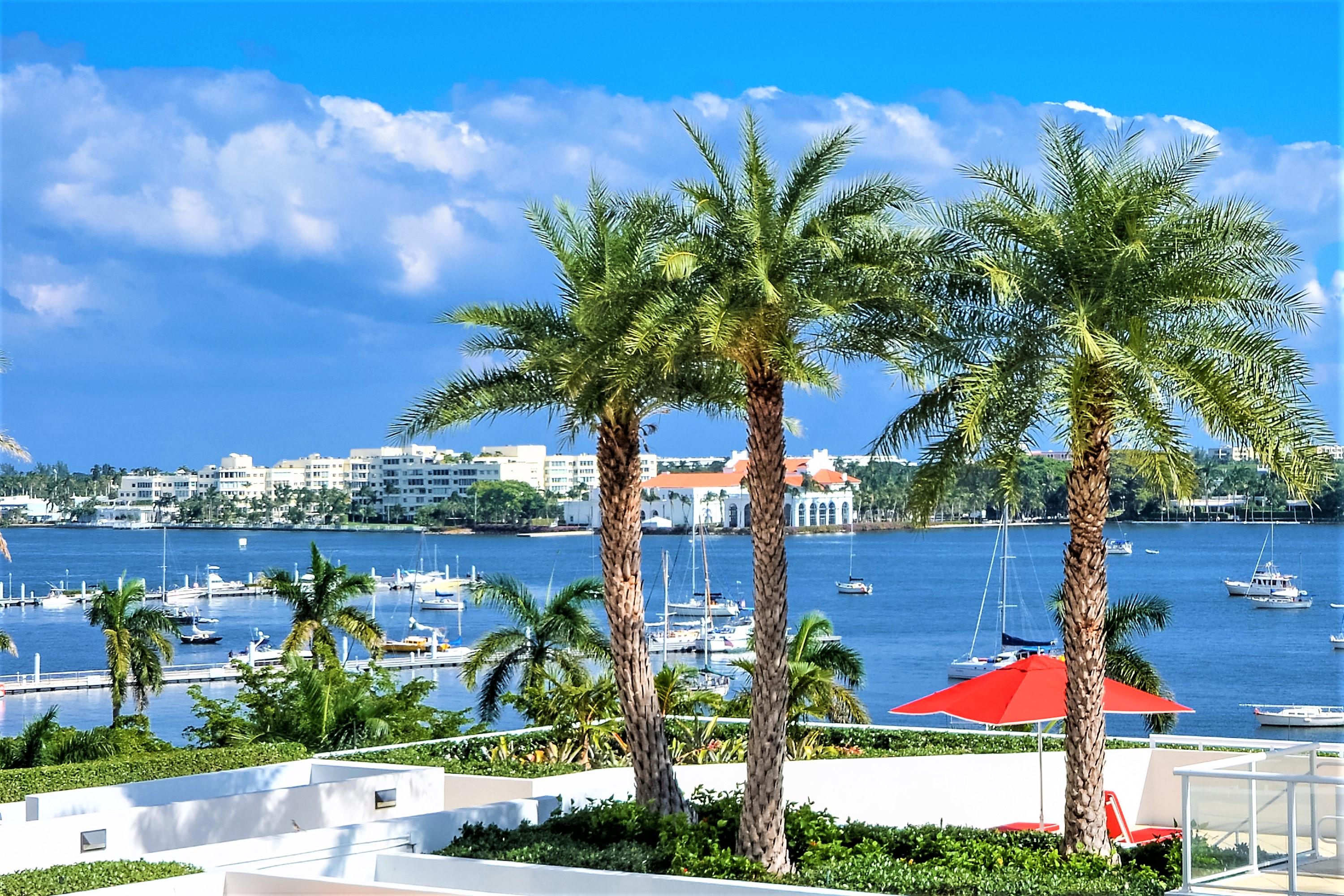 TRUMP PLAZA OF THE PALM BEACHES CONDO - Residential